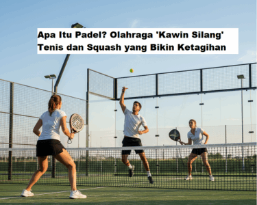 apa itu padel